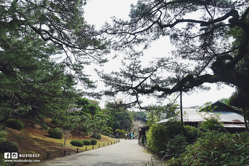 特別名勝栗林公園 日本庭園
