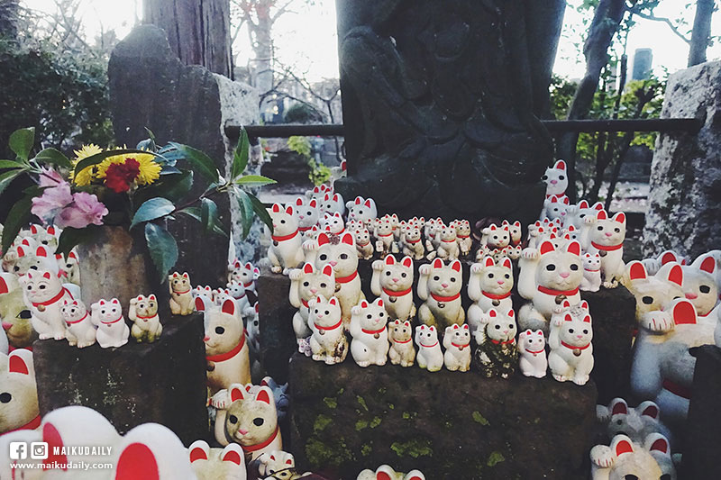 豪德寺 東京貓地方 數千隻招財貓排排企 祈福聖地 世田谷區