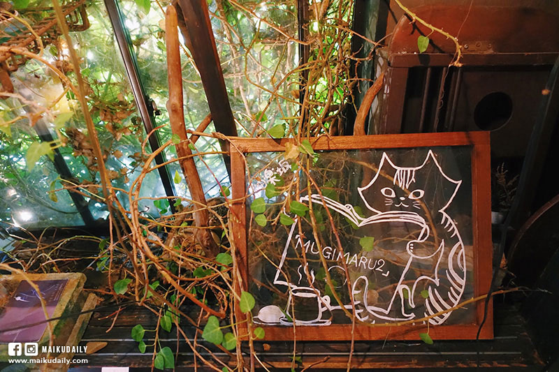 神樂坂 貓Cafe【東京貓旅行】隱身市區秘密花園 宮崎駿世界般的神秘小店
