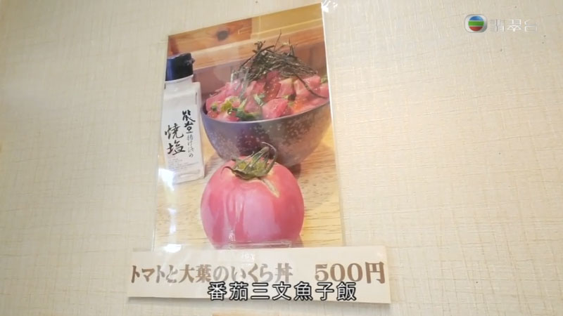 森美旅行團2 京都 500円激安特盛 海鮮二色丼 魚楽