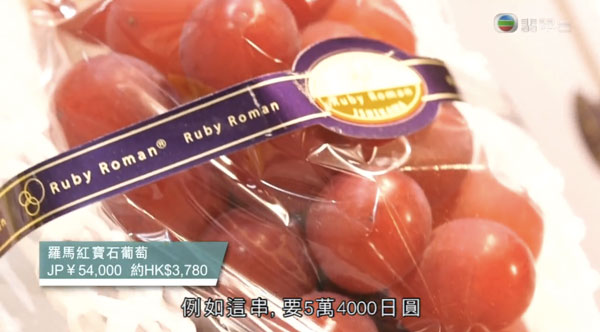 周遊東京 六本木 東京 Midtown Sun Fruits Ruby Roman 高級葡萄