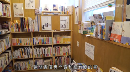 周遊東京2 世田谷 Cat's Meow Books 貓書店貓店長