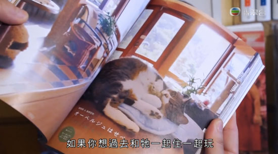 周遊東京2 世田谷 Cat's Meow Books 貓書店貓店長