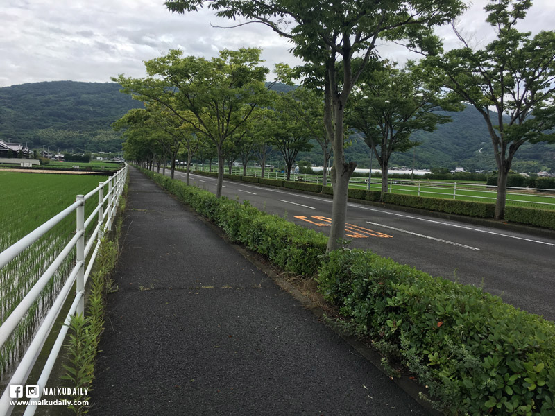 香川遍路 坂出市