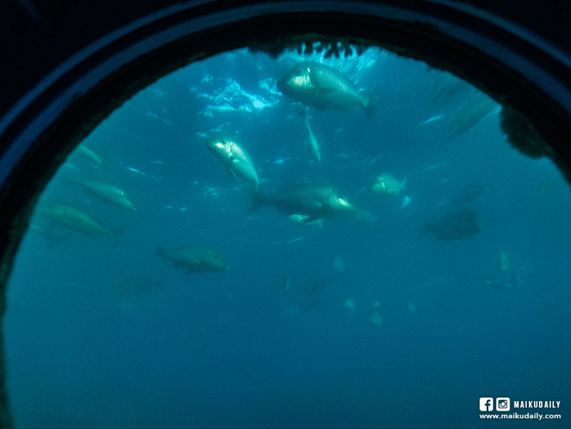 部瀨名海中公園 海中展望塔