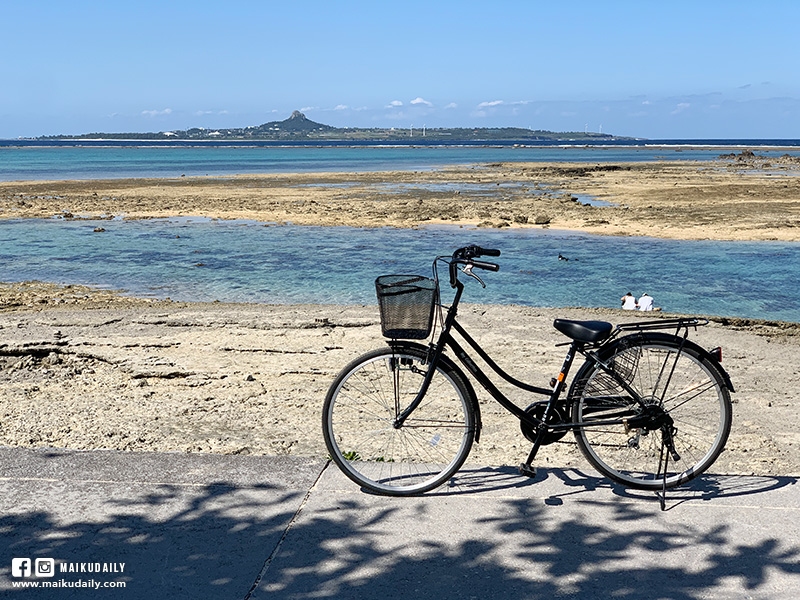 沖繩拍照景點 騎自行車一日遊 備瀨福木林道 備瀬のフクギ並木 