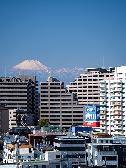 池上本門寺 東京 看得到富士山的景點