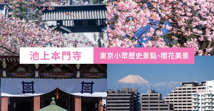 池上本門寺 東京隱藏版景點 櫻花 富士山
