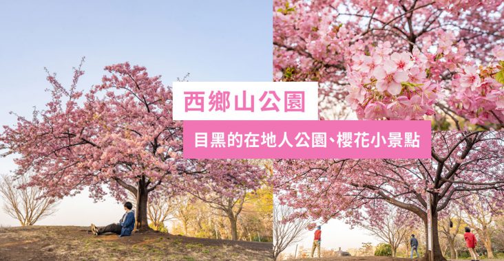 西鄉山公園 河津櫻 東京櫻花私房景點 中目黑 代官山