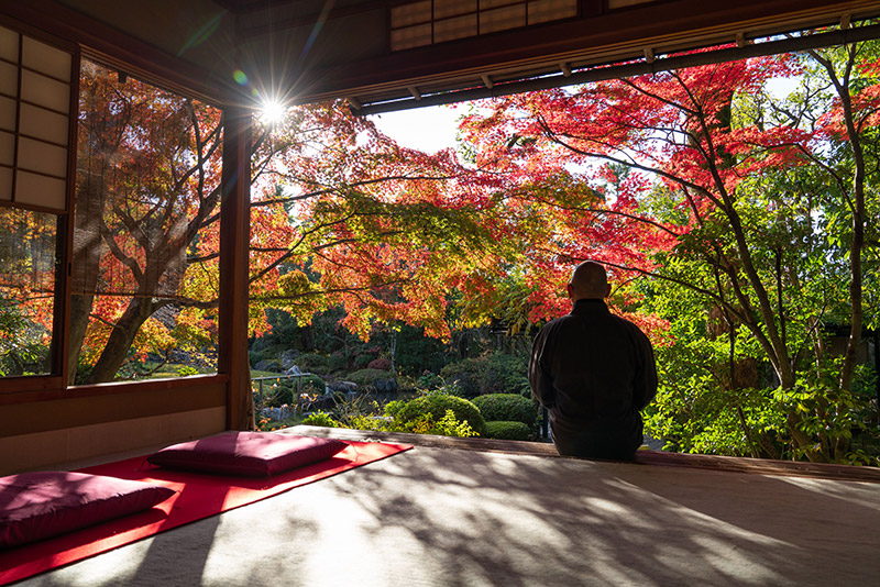 京都布萊頓飯店 紅葉包場景點 退藏院